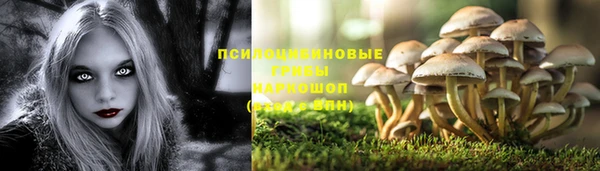 прущий лед Корсаков