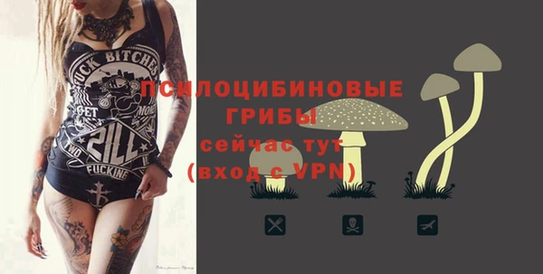 круглые Коряжма