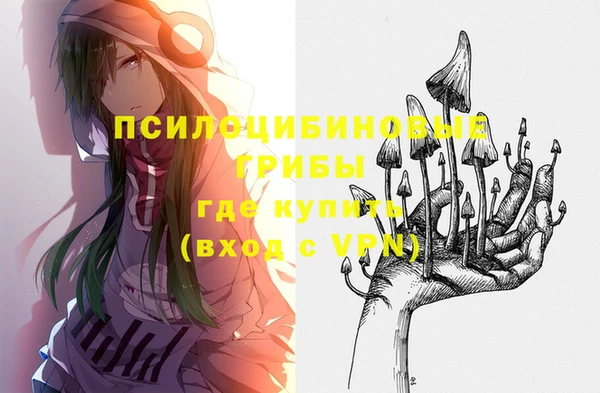 круглые Коряжма