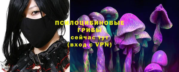 круглые Коряжма